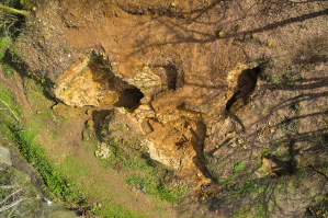 DJI_0318_WEB72dpi SRGB_©JPEG-STUDIOS.jpg